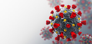 Американски учени, водени от българин, разработиха терапия срещу COVID-19