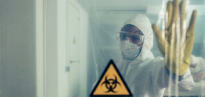 Глобиха Борисов, Цветанов и Корнелия