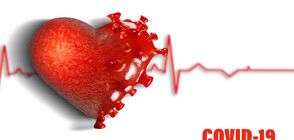 Защо 70% от преболедувалите COVID-19 са застрашени от инфаркт?