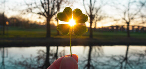 8 неща, които ще донесат късмет в дома ви (ГАЛЕРИЯ)