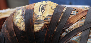 Перфектно запазена мумия на 2500 години намериха в Египет (ВИДЕО)