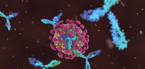 COVID-19: Румъния с по-строги мерки срещу пандемията