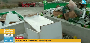 Изхвърлиха кучета в клетки на сметище в Самоков (ВИДЕО)