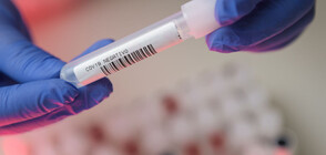 Безплатен PCR тест за всеки с поне 2 симптома