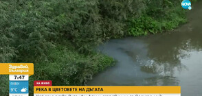 Кой замърсява река Русенски Лом и отровни ли са водите й?