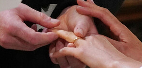 ЕКШЪН: Полицията нахлу на сватбено празненство (СНИМКИ+ВИДЕО)