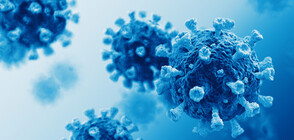 Откриха „слабото място” на коронавируса