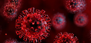 675 new coronavirus cases in Bulgaria, 603 more patients were cured