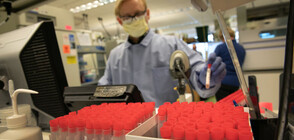 Белгия обмисля дали да върне общата карантина