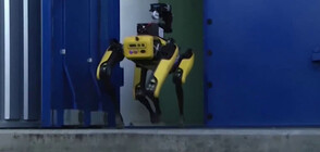 Роботизирано куче влезе в АЕЦ „Чернобил”