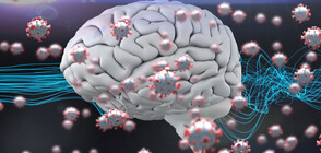 Коронавирусът може да състари мозъка с 10 години