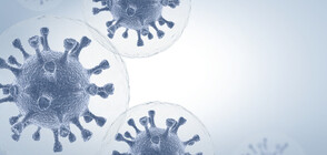 „Редженерон” спира изпитанията с изкуствени антитела при по-тежките случаи на COVID-19