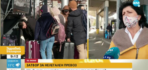 Ще бъдат ли незаконни споделените пътувания?