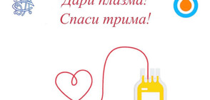 Как може да дарите кръвна плазма
