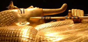 В Египет откриха 100 непокътнати саркофази с мумии