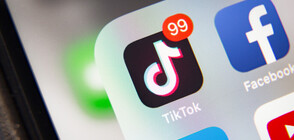 16-годишна стана първият човек със 100 милиона последователи в Tik Tok