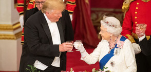 Британската кралица пусна своя марка алкохол