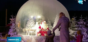 Дядо Коледа посреща по необичаен начин децата в зоопарк в Дания