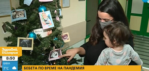 Елхи, украсени с бебешки снимки, се появиха в родилно отделение