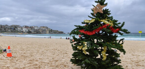 Дъжд и коронавируса оставиха прочут плаж в Австралия полупразен на Коледа (ВИДЕО)