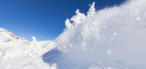 Спасиха сноубордист след лавина в Пирин (ВИДЕО)
