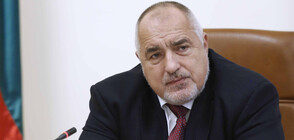 Borissov calls on President Radev to put forward a position on Alexei Navalny’s detention