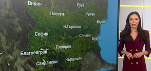 Прогноза за времето (25.01.2021 - сутрешна)