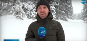 Прогноза за времето (30.01.2021 - обедна)