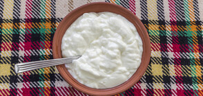 Bulgaria applies to register Bulgarian yoghurt and white brined cheese as protected designations of origin