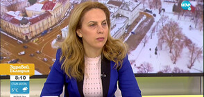 Марияна Николова: Алтернативата за туризма е антигенният тест