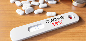 КАЗУС: Изисква ли се отрицателен PCR тест при влизане в България след имунизация
