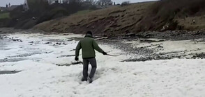 Гъста пяна покри плаж във Великобритания (ВИДЕО)