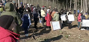 Жители на Варна протестират срещу изсичане на гора