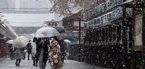 Снежна буря предизвика транспортен хаос в Япония (СНИМКА)