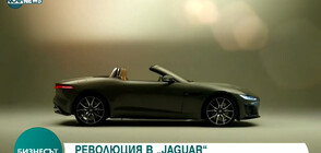 РЕВОЛЮЦИЯ В “Jaguar”