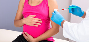 Опасни ли са ваксините за бременни и за репродуктивността