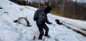 "ДОТАМ И ОБРАТНО": Млади планински спасители търсят хора под лавина (ВИДЕО)
