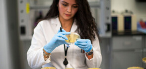 Първи случаи на бразилския щам на COVID-19 в Швеция