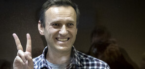 Навални пристигна в наказателната колония за изтърпяване на присъдата си