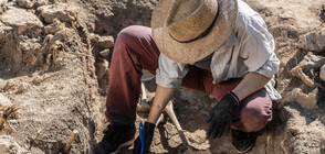 Открити в България човешки останки на 45 000 години разкриват неизвестна миграция