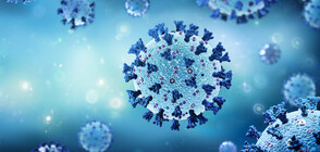 Френски вирусолог: COVID-19 e на път да се превърне в обичаен сезонен вирус