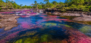 Природни феномени, които показват колко уникална е Земята (ГАЛЕРИЯ)