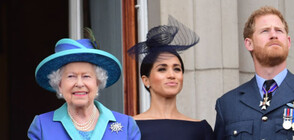 Какви ангажименти очакват британското кралско семейство? (ВИДЕО)