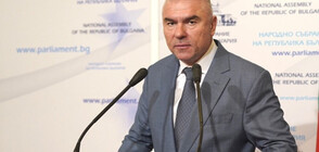 Веселин Марешки се кандидатира за президент