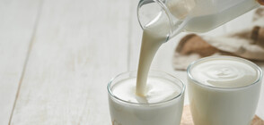 Масово млякото у нас съдържа сухо мляко