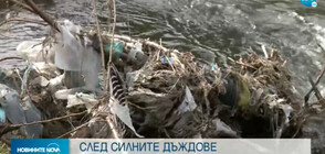 Тонове боклуци изплуваха по бреговете на Места (ВИДЕО)