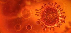 Brazilian and South African variants of coronavirus have not been detected in Bulgaria