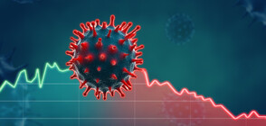 Рекордно нисък процент нови заразени с COVID-19 през последните месеци у нас