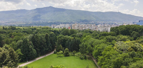 Bulgaria's capital Sofia adopts program for cleaner air