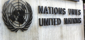 ООН алармира: Рязко увеличение на хората на ръба на глада